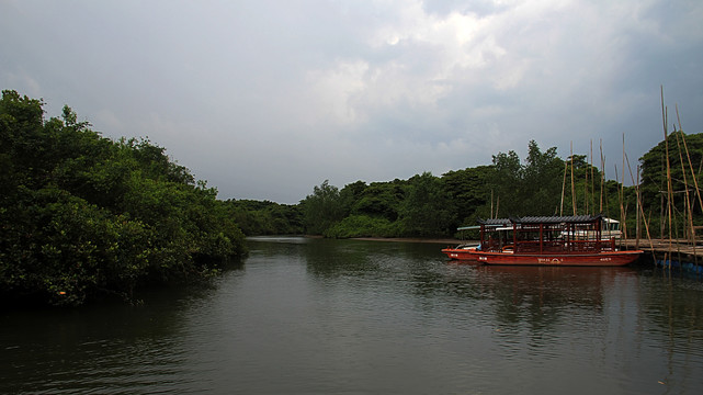 海南红树林保护区