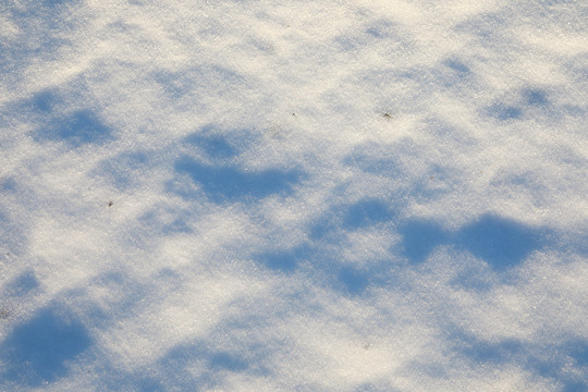 雪地