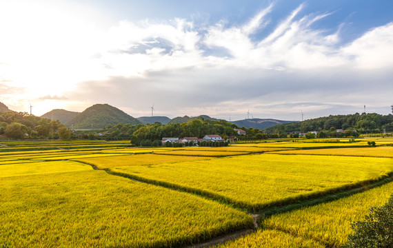 田园风光