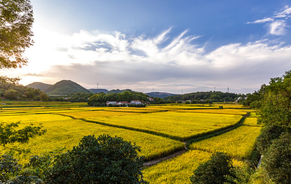 乡村风光