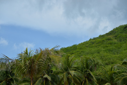 南山文化旅游区