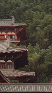 宁波九龙湖香山教寺