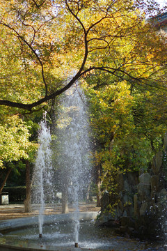 山东大学喷泉