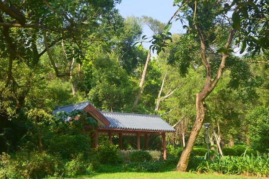 深圳笔架山林荫下的风雨廊