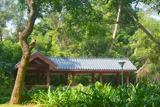 深圳笔架山树林深处风雨廊