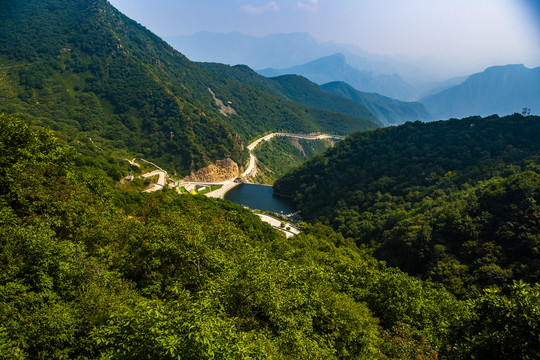 山区森林植被