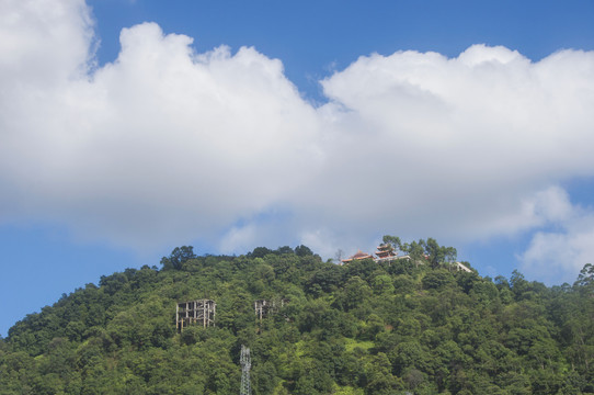 高山森林白云风景