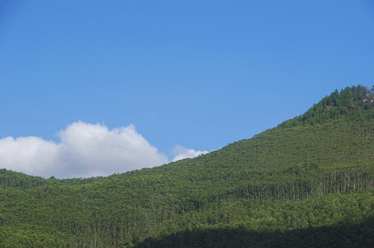 青山山林蓝天白云