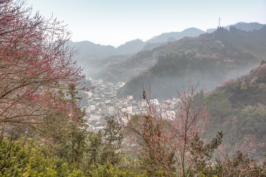 卖花渔村