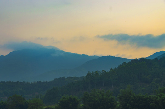 户外风景山树林