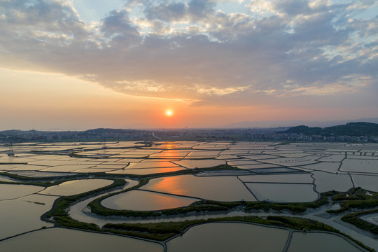 海田