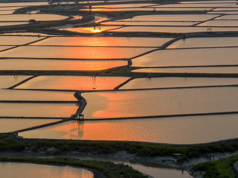 海田