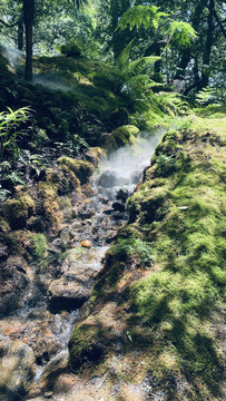 江西婺源篁岭风景