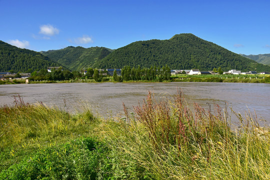 洮河风光