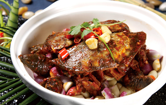 砂煲甲魚