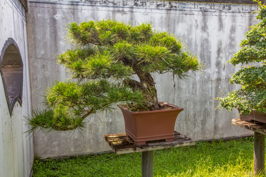 鲍家花园