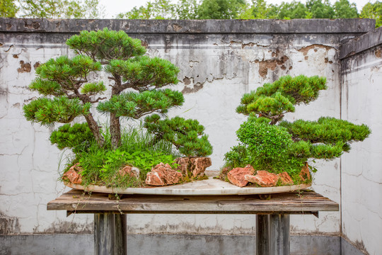 鲍家花园