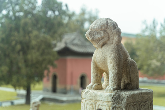 风化严重的古代石狮子特写