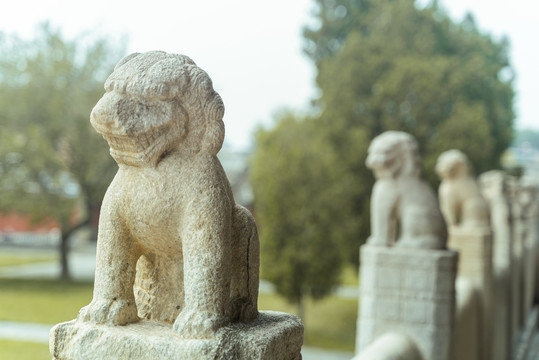 风化严重的古代石狮子特写