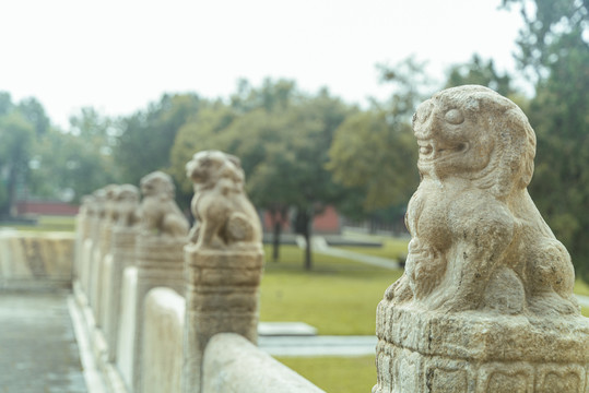 风化严重的古代石狮子特写