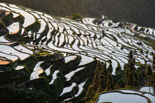 加榜梯田