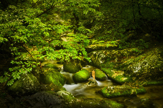 百瀑峡森林公园