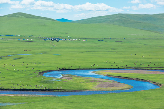 草原夏天牧场河流马群蒙古包