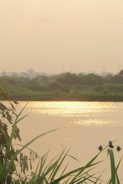 夕阳下的湖面