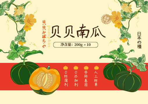 貝貝南瓜包裝插畫