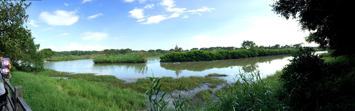 南沙湿地公园