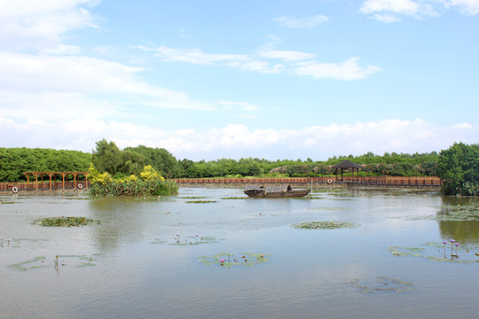 南沙湿地公园