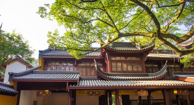 杭州灵隐寺