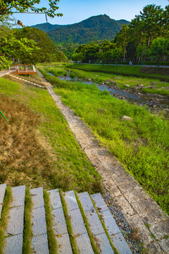 梧桐碧道风景