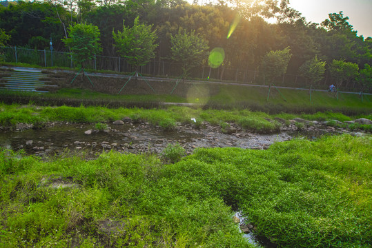 河道草地