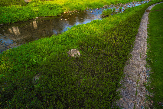 河套风景