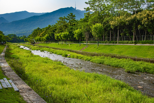 静静的河岸