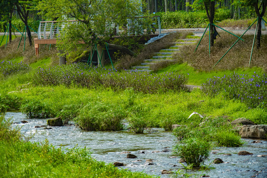 河道飞翔