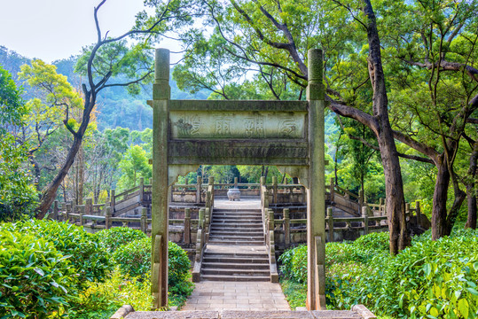 中国广西柳州龙潭公园龙潭烟雨