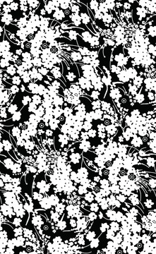 黑白花