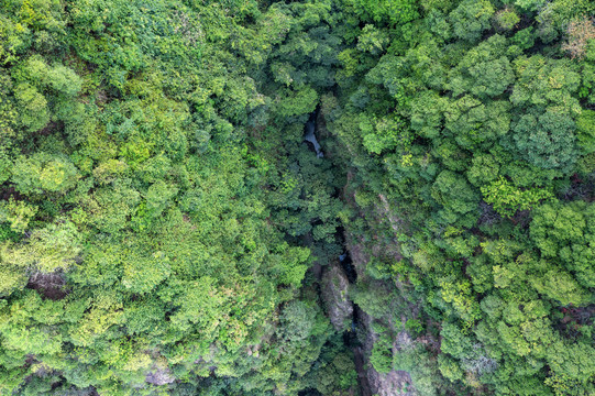 西樵山景区