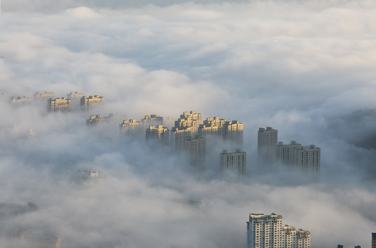 雾中城市