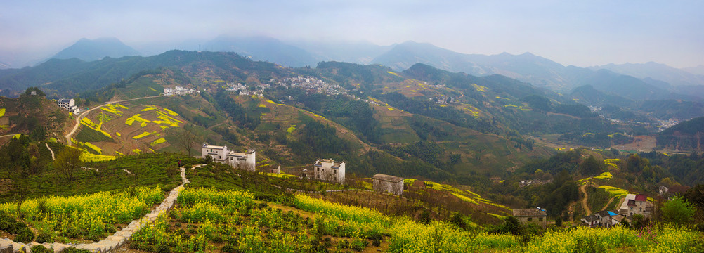 歙县坡山村全景图