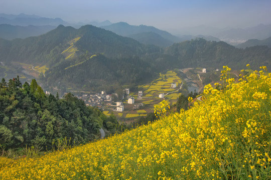 歙县石潭下汰村油菜花