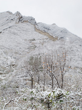 冰雪长城