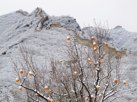 冰雪长城