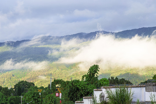 日照青山