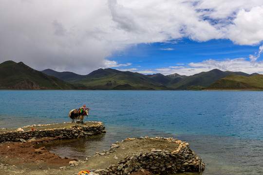西藏羊卓雍措羊湖蓝色湖水
