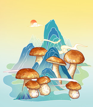 牛肝菌插畫