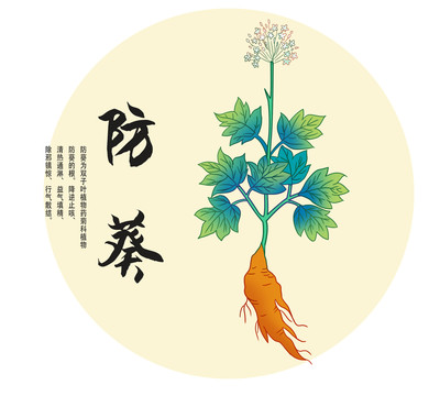 防葵插畫