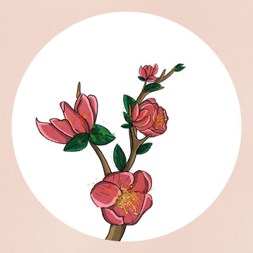 中国风手绘红色桃花插画